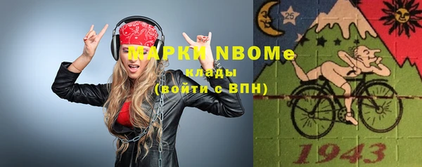шишки Алексин