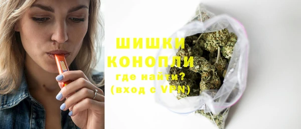 шишки Алексин