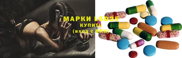 шишки Алексин