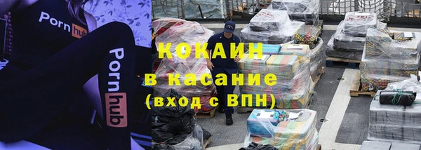 шишки Алексин
