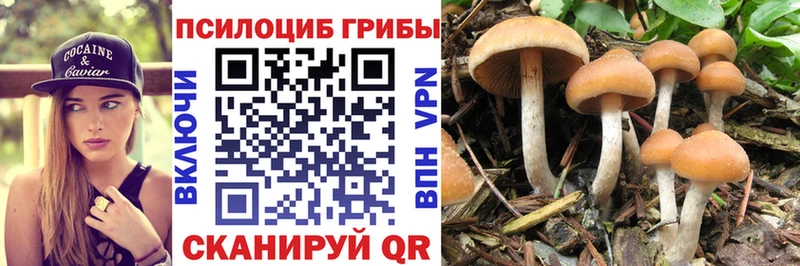 Галлюциногенные грибы Psilocybine cubensis  где купить наркотик  Тюкалинск 